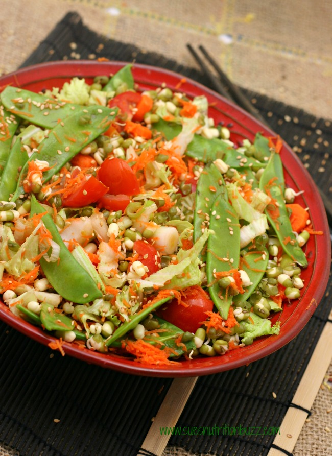 Sprouted Mung Bean Asian Salad